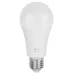 Лампа светодиодная ЭРА GREEN LINE LED A60-25W-865-E27 GL E27 25 Вт груша холодный свет