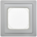 FLITE Рамка 1-местная IP55 Рпро-1-55-ФлА алюминий IEK
