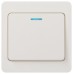 Выключатель Intro Style 7-102-01 с подсветкой, 10А-250В, IP20, СУ, белый