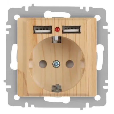Розетка Intro Accent 6-410-11 , P+E Schuko со шторками, 16А-250В + 2хUSB, IP20, СУ, сосна