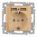 Розетка Intro Accent 6-410-11 , P+E Schuko со шторками, 16А-250В + 2хUSB, IP20, СУ, сосна