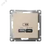 ATLASDESIGN USB РОЗЕТКА A + тип-C 45Вт высокоскор.заряд. QC,PD, механизм, ПЕСОЧНЫЙ