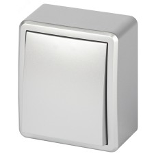 Выключатель ЭРА Эксперт 11-1201-03 IP20 ОУ 10АХ-250В алюминий