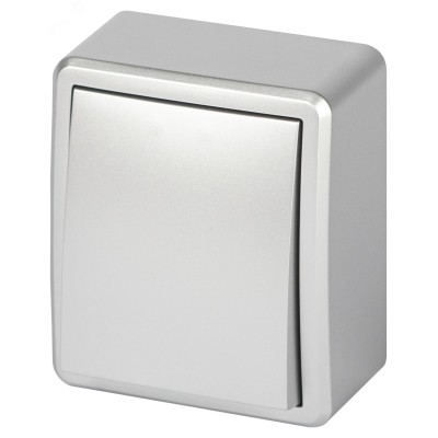 Выключатель ЭРА Эксперт 11-1201-03 IP20 ОУ 10АХ-250В алюминий