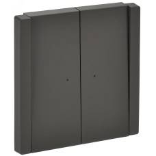 FORTE&PIANO Выключатель 2-клавишный с индикацией 10А FP306 серый IEK