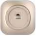 GLORY Розетка для открытой установки компьютерная RJ45 кат.5E РК10-ХШм шампань матовый IEK