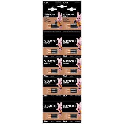 5011646 Duracell Duracell LR03-2BL BASIC 2*10 (20/240/33600)