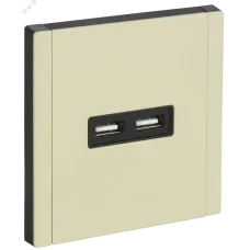 FORTE&PIANO Розетка USB A+A 3,1А FP849M металл слоновая кость IEK