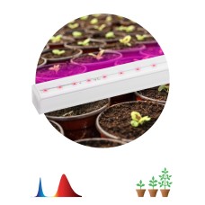 Светильник для растений, фитолампа светодиодная линейная ЭРА FITO-9W-Т5-N красно-синего спектра 9 Вт Т5