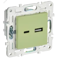 SKANDY Розетка USB A+C 3,1А SK-R14G мятный IEK