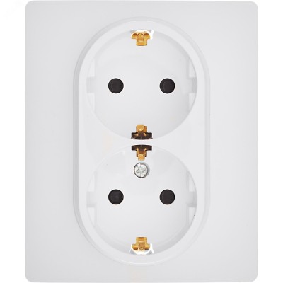 Розетка двойная с заземлением - Legrand/Daccord Inspiria - со шторками в сборе 16А 250В винтовые зажимы - белый