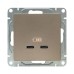 Механизм розетки USB-C - 2шт  шампань Эпика EKF