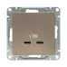 Механизм розетки USB-C - 2шт  шампань Эпика EKF