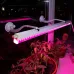 Светильник для растений, фитолампа светодиодная линейная FITO-18W-PL-LINE 573-GR красно-синего спектра 18 Вт Т5