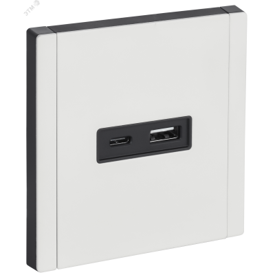 FORTE&PIANO Розетка USB A+C 18Вт FP251M металл белый IEK