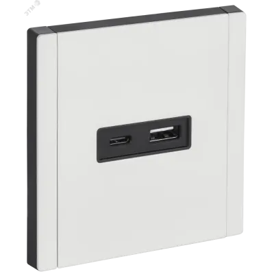 FORTE&PIANO Розетка USB A+C 18Вт FP251M металл белый IEK