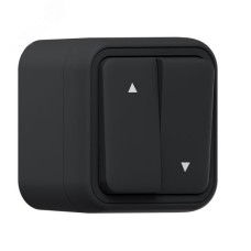 Выключатель, для жалюзи черный, ОП, винтовые клеммы антрацит, Бронто EKF