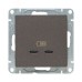 Механизм розетки USB-C - 2шт  мокко Эпика EKF