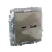 BRITE Розетка USB A+C 18Вт РЮ11-1-БрШ шампань
