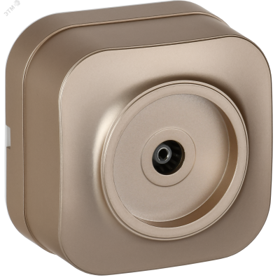 GLORY Розетка для открытой установки TV РТВ20-ХШм шампань матовый IEK