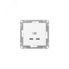 Эпика Механизм розетки USB-C - 2шт белый EKF