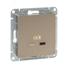 Механизм розетки USB-С  быстрая  шампань Эпика EKF