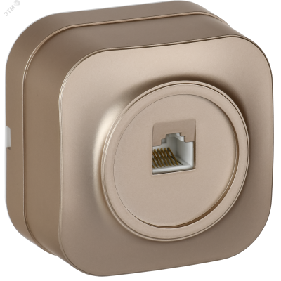 GLORY Розетка для открытой установки компьютерная RJ45 кат.5E РК10-ХШм шампань матовый IEK