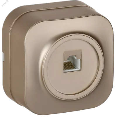 GLORY Розетка для открытой установки компьютерная RJ45 кат.5E РК10-ХШм шампань матовый IEK