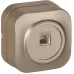 GLORY Розетка для открытой установки компьютерная RJ45 кат.5E РК10-ХШм шампань матовый IEK