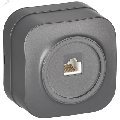 GLORY Розетка для открытой установки компьютерная RJ45 кат.5E РК10-ХСм сталь матовый IEK