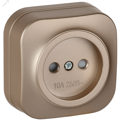 GLORY Розетка 1-местная для открытой установки без заземления с защитными шторками 10А РСш20-2-ХШм шампань матовый IEK