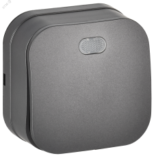 GLORY Выключатель 1-клавишный для открытой установки с индикацией 10А ВС20-1-1-ХСм сталь матовый IEK