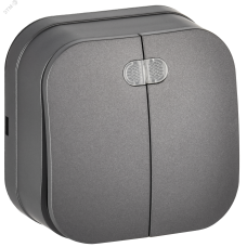 GLORY Выключатель 2-клавишный для открытой установки с индикацией 10А ВС20-2-1-ХСм сталь матовый IEK