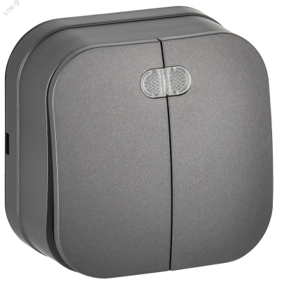 GLORY Выключатель 2-клавишный для открытой установки с индикацией 10А ВС20-2-1-ХСм сталь матовый IEK