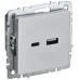 BRITE Розетка USB A+C 18Вт РЮ11-1-БрА алюминий