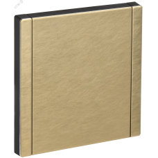 FORTE&PIANO Заглушка с суппортом FP641M металл шампань IEK