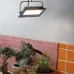 Фитопрожектор для растений светодиодный ЭРА FITO-50W-Ra90-LED для цветения и плодоношения полного спектра 50 Вт