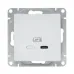 Эпика Механизм розетки USB-С быстрая алюминий EKF
