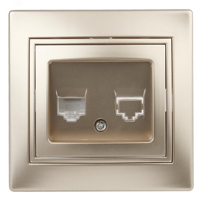 Розетка Intro Plano 1-303-04 информационная RJ45, IP20, СУ, шампань