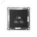 Розетка ATLASDESIGN USB 5В 1 порт x 2,1 А 2 порта х 1,05 А механизм карбон