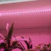 Светильник для растений фитолампа светодиодная линейная FITO-10W-Т5-PL-Slim-GR розового свечения 10 Вт GREEN LINE