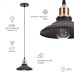 Светильник подвесной (подвес) ЭРА PL4 BK/RC металл, E27, max 60W, высота плафона 80мм, подвеса 800мм, черный/медь