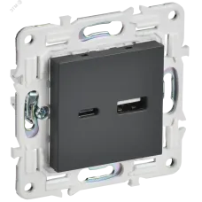 SKANDY Розетка USB A+C 3,1А SK-R14T титан IEK
