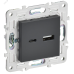 SKANDY Розетка USB A+C 3,1А SK-R14T титан IEK