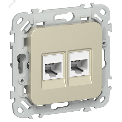 FLITE Розетка 2-местная компьютерная RJ45 категория 5Е UTP РК5е-2-0-ФлШ шампань IEK