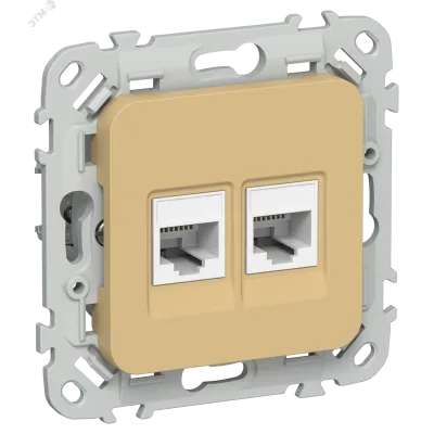 FLITE Розетка 2-местная компьютерная RJ45 категория 5Е UTP РК5е-2-0-ФлШм шамуа IEK