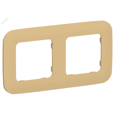 FLITE ARTISTIC Рамка 2-местная РУ-2-А-ФлШм шамуа IEK