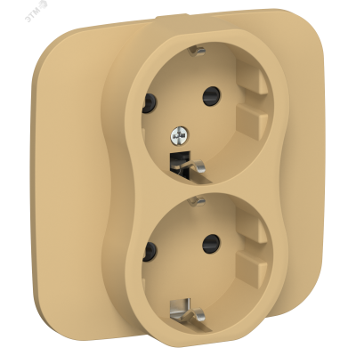 FLITE Розетка 2-местная с заземлением с защитными шторками безвинтовое крепление 16А в сборе РСш12-1-А-ФлШм шамуа IEK