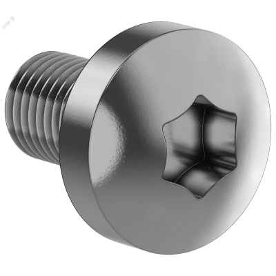 FORMAT Винт М6х10 самонарезающий полукруглая головка шестирадиусный шлиц TORX30 DIN 7500С (50шт/упак) IEK