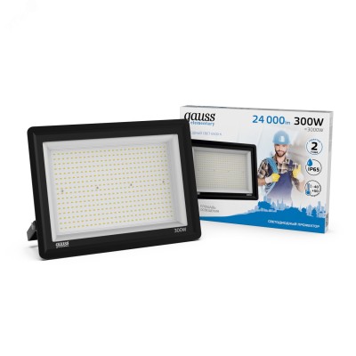 Прожектор светодиодный Gauss Elementary G2 300W 24000lm IP65 6500К черный 1/4